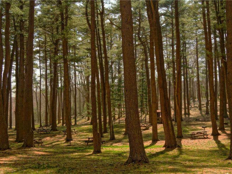 sudoku learning tool screenshot 5